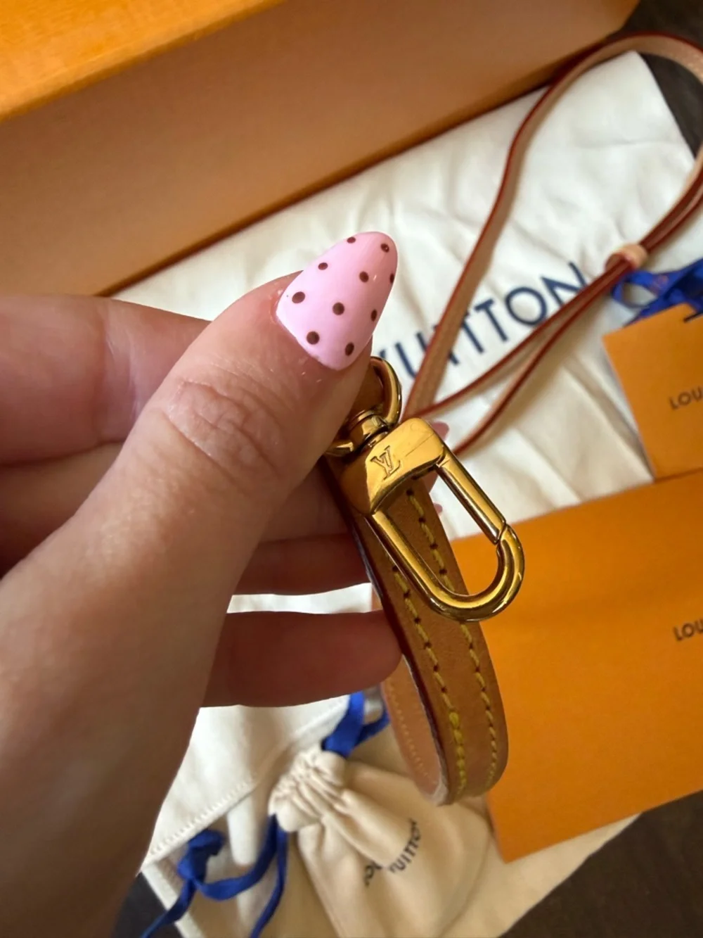 Louis Vuitton authentic louis